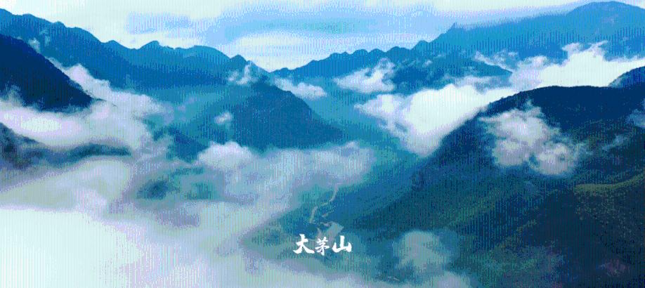 逃离废弃的卡车场